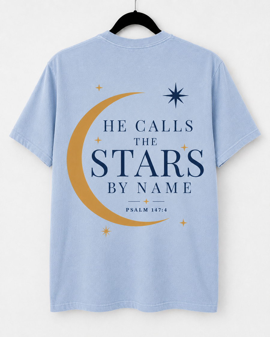 Hydrangea He Calls the Stars back design