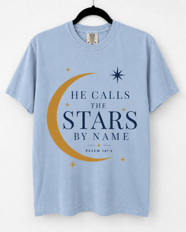 Hydrangea He Calls the Stars front design [pair|hydrangea|front|1]