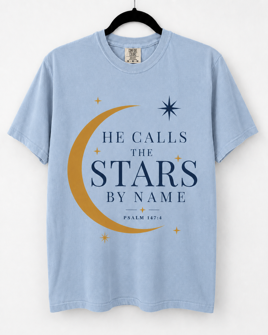 Hydrangea He Calls the Stars front design